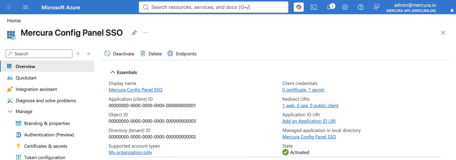 Application overview with client and tenant ID